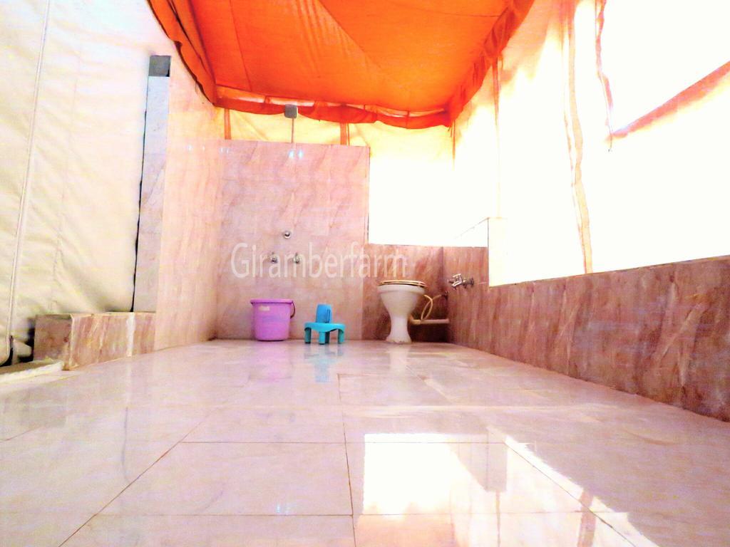 Amber Farm Sasan Gir Ngoại thất bức ảnh