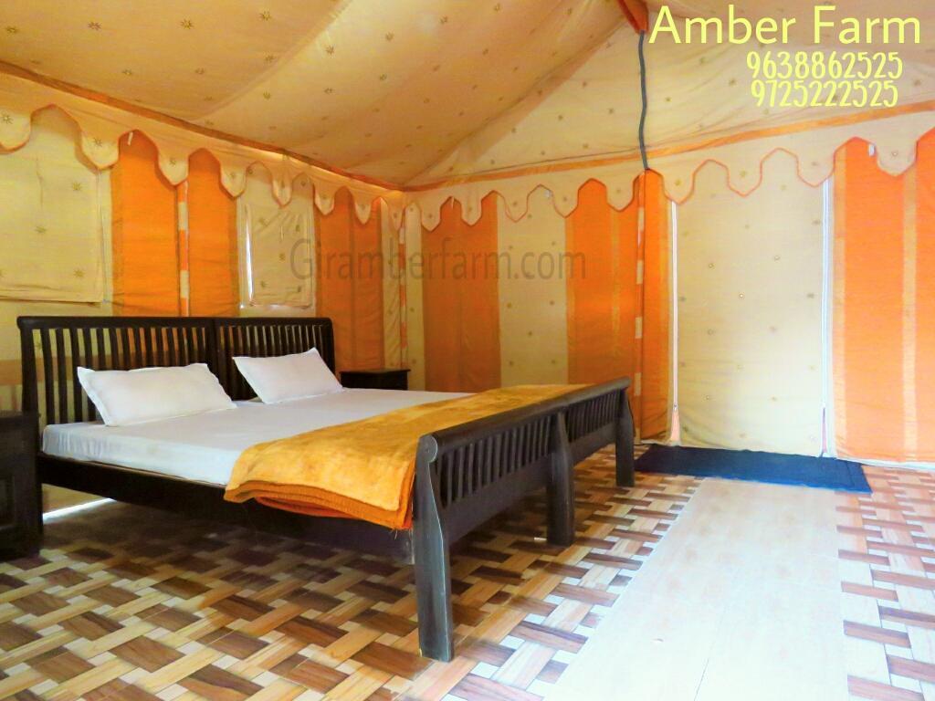 Amber Farm Sasan Gir Ngoại thất bức ảnh