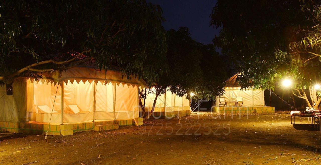 Amber Farm Sasan Gir Ngoại thất bức ảnh